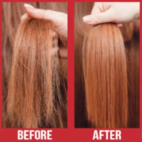 Difeel Premium Castor Plus Argan - Pro-Growth + Hydrating Premium Hair Oil 2.5 oz.