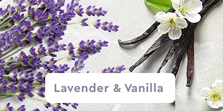 Arm & Hammer Essentials Liquid Hand Soap Refill Lavender Vanilla 32 Fl0z Beauty & Personal Care Arm & Hammer
