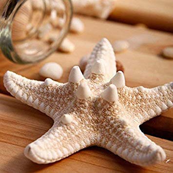 Aluinn Starfish Hair Clip Boho Barrettes Lovely Mermaid Beach Hair Hairpin Jewelry for Women Set of2 Beauty & Personal Care Aluinn