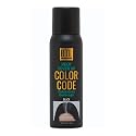BTL Color Code Temporary Hair Color Spray-On! Vibrant & Easy to Wash | Fast Drying (3oz/80g) (Root Cover Up (Black), 3oz/80g) Beauty & Personal Care BTL Professional