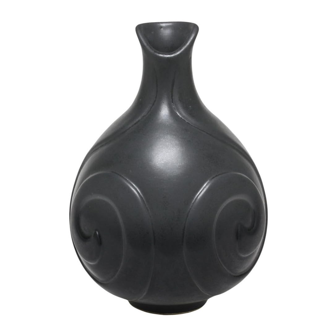 AMACO Satin Matte SM-01 Black Glaze Pint, 16 oz. (473 mL), Intermixable Mid-High Fire Cone 5-6 (SM) Liquid Ceramic Pottery Glaze for Bisque Beauty & Personal Care AMACO