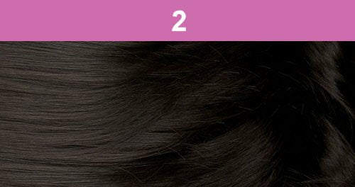 Foxy Silver (DS003 - Synthetic Ponytail in 2