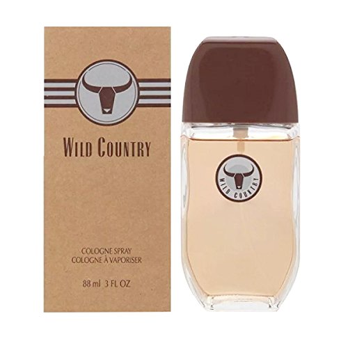 AVON Wild Country Cologne Spray for Men Beauty & Personal Care AVON