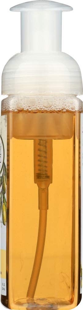 South Of France Foaming Hand Wash Lemon Verbena With Hydrating Organic Agave Nectarc 8 Oz Beauty & Personal Care South Of France