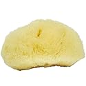 Sea Soft Silk Sponge - for Cosmetic Use, Facial Cleansing, 3-4 inches Beauty & Personal Care Neptune Natural