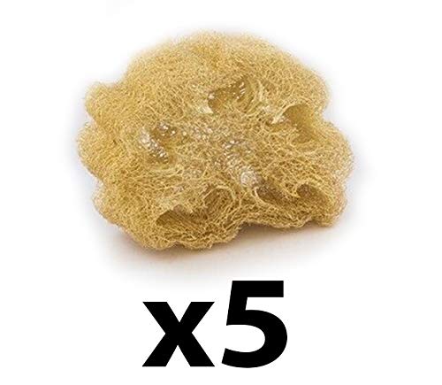 5pcs Natural Ecological Loofah Exfoliating Sponge Bath Body Shower Scrubber Beauty and Personal Care Izgut
