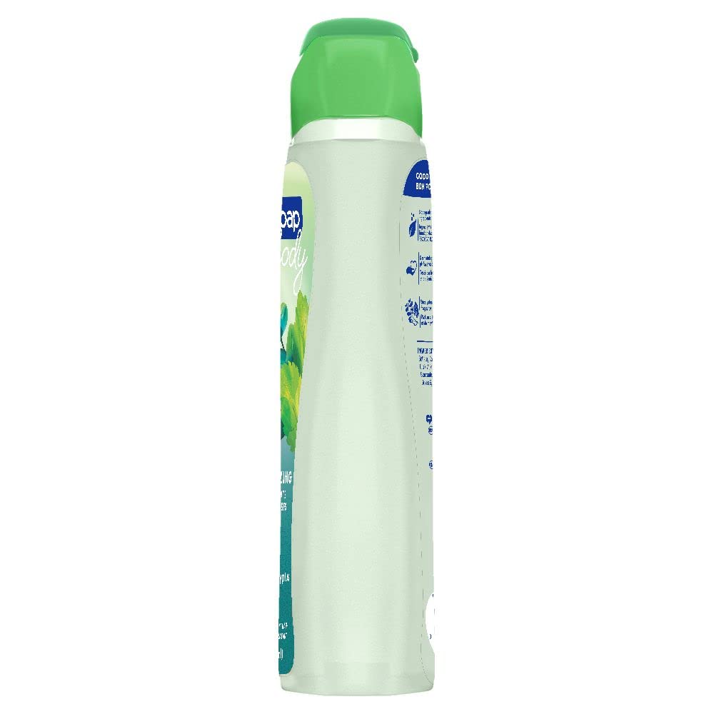 Softsoap Eucalyptus & Mint, Moisturizing Body Wash, 591 ml Beauty & Personal Care Softsoap