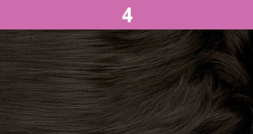 Foxy Silver (DS006 - Synthetic Ponytail in 4