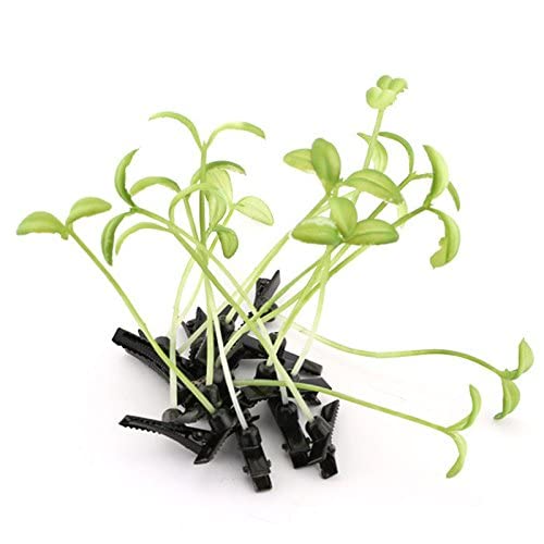 Dreamxue Funny Grass Hair Clips, 4 Pcs Bean Sprout Hairpins, Green Leaf Plant Antenna Hair Pins Hair Accessories for Women Girls Kids Beauty & Personal Care Dreamxue