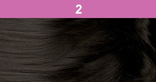 Foxy Silver (DS004 - Synthetic Ponytail in 2
