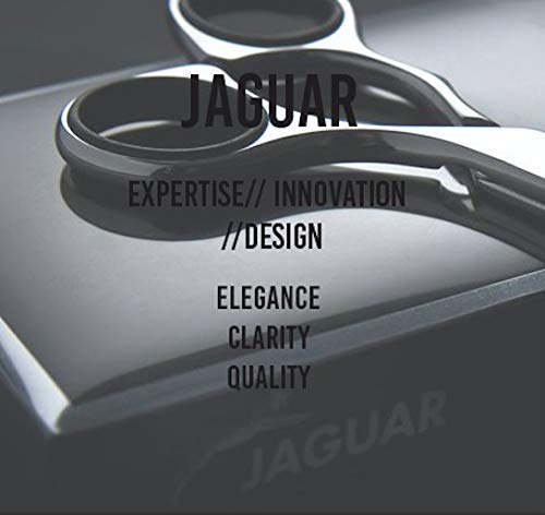 JAGUAR Replacement Razor Blades for R1 and R1M Razors - 10 Count Beauty and Personal Care Jaguar