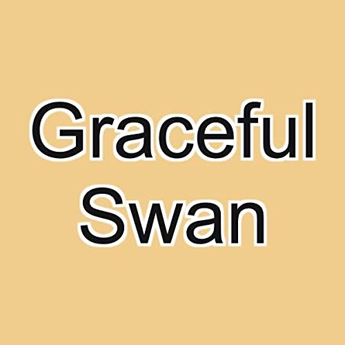 Graftobian F/X Aire Airbrush Makeup (Graceful Swan) Beauty & Personal Care Graftobian