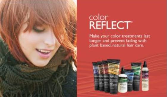 Shikai: Color Reflect Platinum Shampoo, 8 oz (6 pack) Beauty & Personal Care ShiKai
