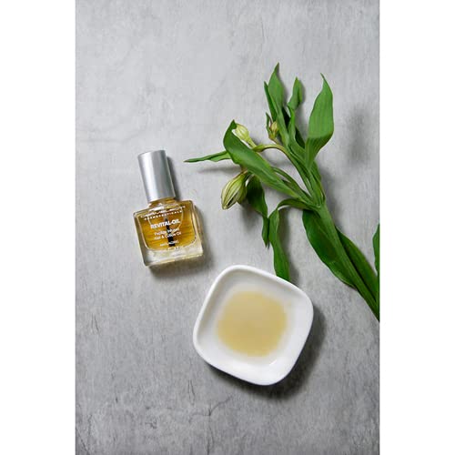 Dermelect Revital-oil Nail & Cuticle Treatment- Nourishing Oil for Dry Damaged Cuticles with Protein Peptides Argan Oil Shea Butter, Moisturizes Beauty & Personal Care Dermelect