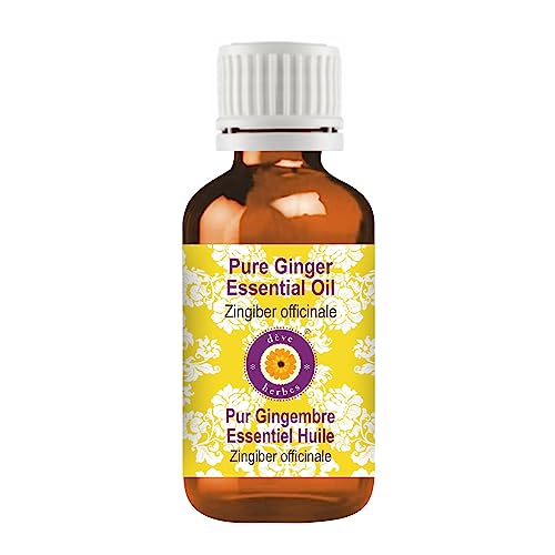 dève herbes Ginger Essential Oil (Zingiber officinale) Pure - Non-Sticky - Non-Greasy - Lightweight - Men & Women - All Skin Types - Steam Distilled Beauty and Personal Care dève herbes