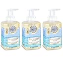 Michel Design Works Foaming Hand Soap, Beach, 17.8 Fl oz, Pack of 3 Beauty & Personal Care Michel Design Works