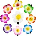 WILLBOND 36 Pieces Hawaiian Flower Hair Clips Plumeria Foam Hair Clips Artificial Frangipani Tropical Flower Hairpin for Bridal Wedding Luau Beach Beauty & Personal Care WILLBOND