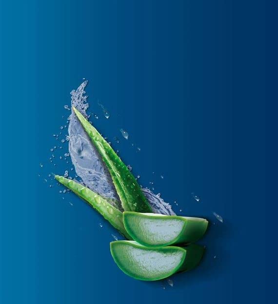 Unilever Vaseline Intensive Care Aloe Soothe Lotion, 10 Fl Oz (305213091006-1c) Beauty & Personal Care Unilever