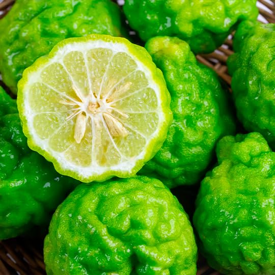 Zermat Fresh Personalized Fragrance for Him - Outgoing and Elegant Scent, Woodsy-Spiced, 2 Fl. Oz, Pack of 1, Allergen-Free Beauty & Personal Care Zermat