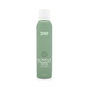 SURFACE Hair Blowout Hair Texture Spray for Women and Men, 4 oz - Heat Protecting, Volumizing Spray Lychee and Maracuja Oil - Premium Blowout Hair Beauty & Personal Care SURFACE