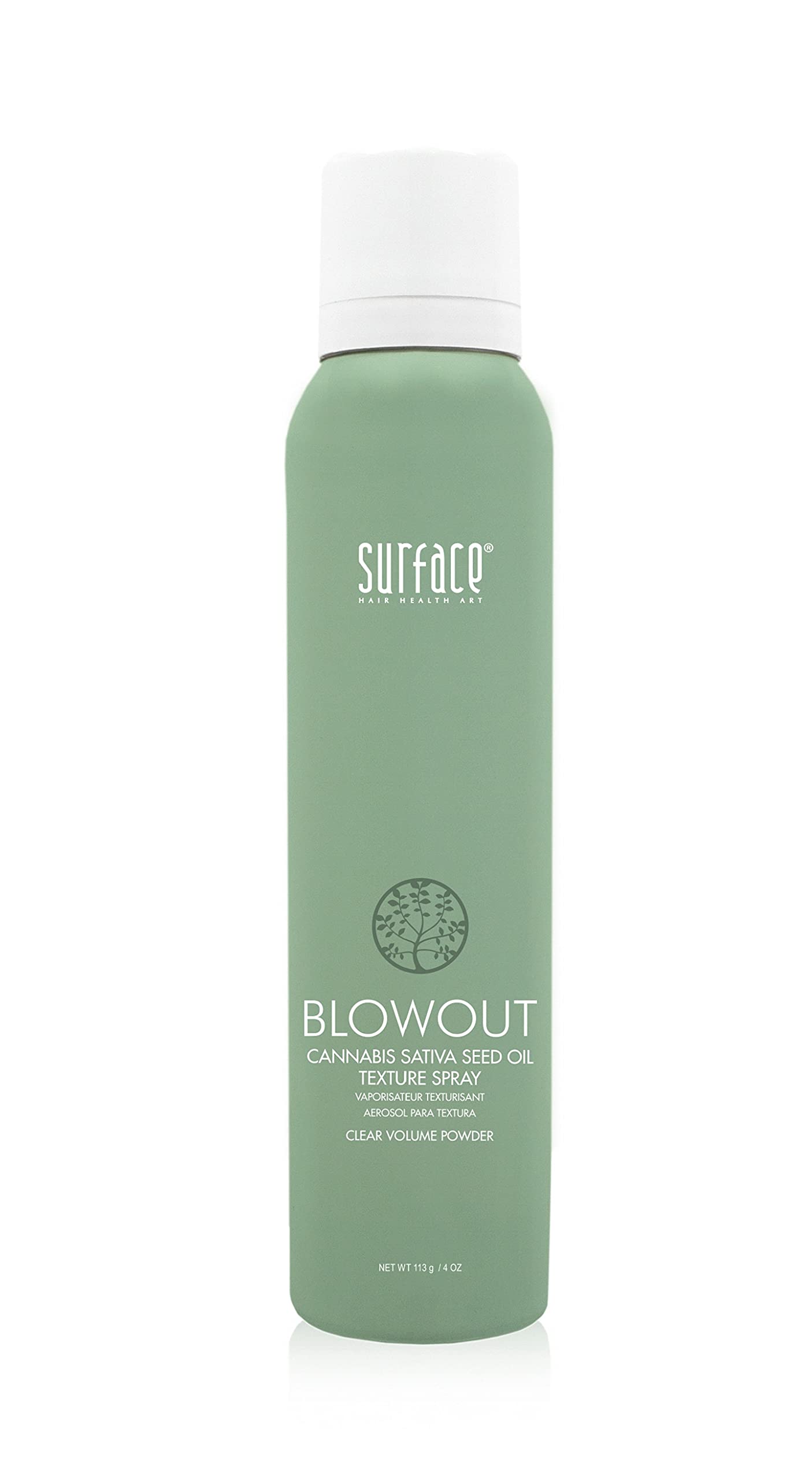 SURFACE Hair Blowout Hair Texture Spray for Women and Men, 4 oz - Heat Protecting, Volumizing Spray Lychee and Maracuja Oil - Premium Blowout Hair Beauty & Personal Care SURFACE