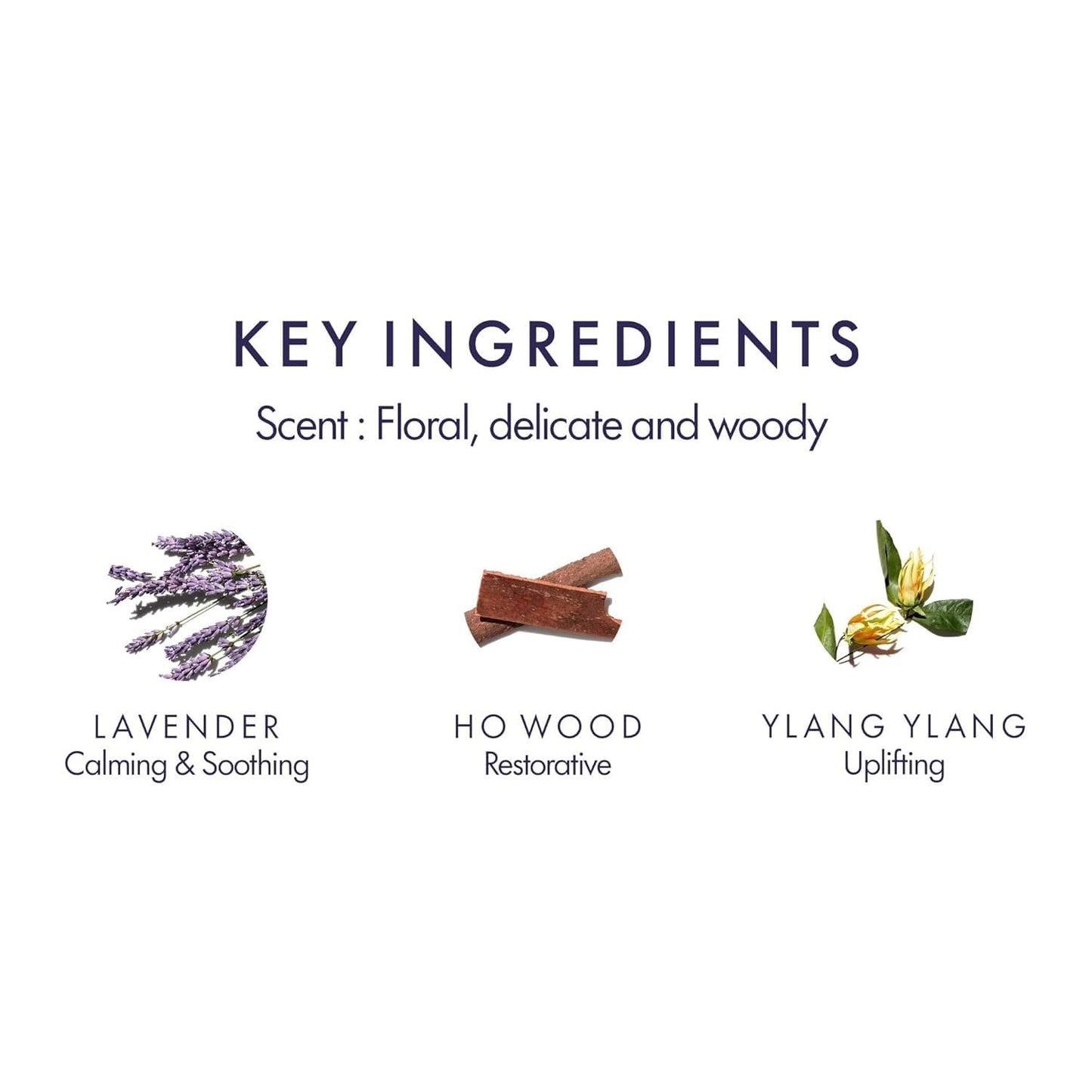 Aromatherapy Associates Balance Replenishing Shampoo, Hydrating Vegan Shampoo for Women and Men with Lavender & Ylang Ylang, Daily Hair Care for Oily Beauty & Personal Care Aromatherapy Associates