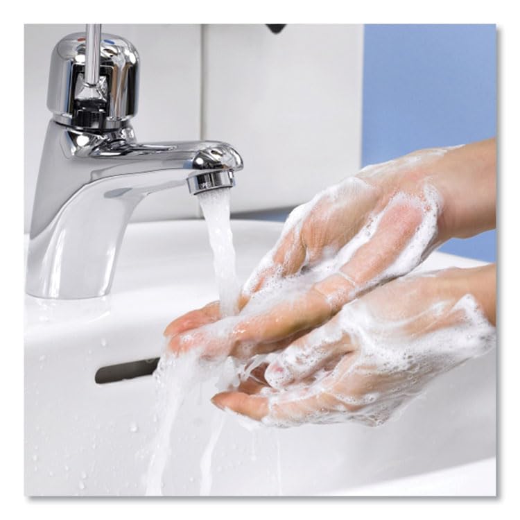 Premium Extra Mild Soap Refill Unscented 1 L 6/Carton Beauty & Personal Care Tork