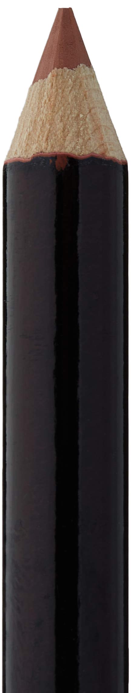 Markwins Wet N Wild Coloricon Lipliner Willow
