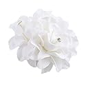AKOAK Hair Clip, New Beauty Women's Bridal Wedding Rhinestone Orchid Hair Clip Barrette, Women Accessories (1Pcs, White) Beauty & Personal Care AKOAK