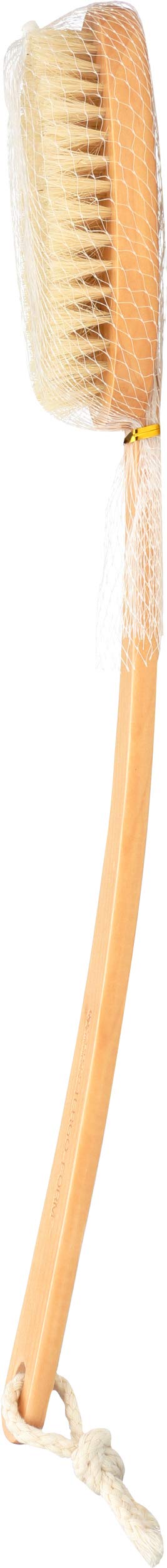 Earth Therapeutics Back Brush Ergo-form Far Reaching Beauty and Personal Care Earth Therapeutics