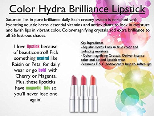 Beauticontrol Hydra Brilliance Lipstick (Persimmon) Magnetic Closure Beauty & Personal Care BeautiControl
