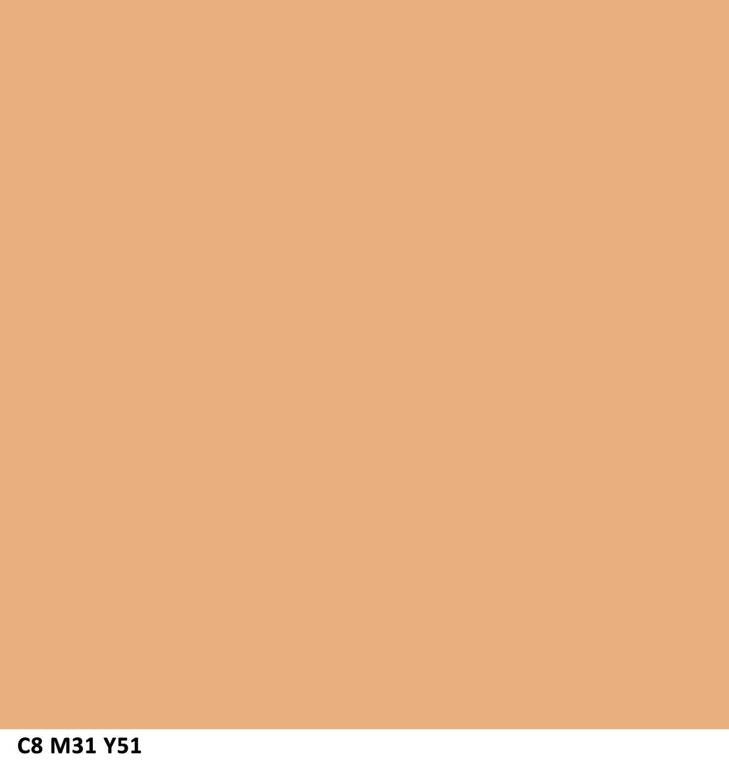 COVERGIRL Outlast All-Day Stay Fabulous 3-in-1 Foundation Soft Honey, 1 oz (packaging may vary) Beauty & Personal Care COVERGIRL