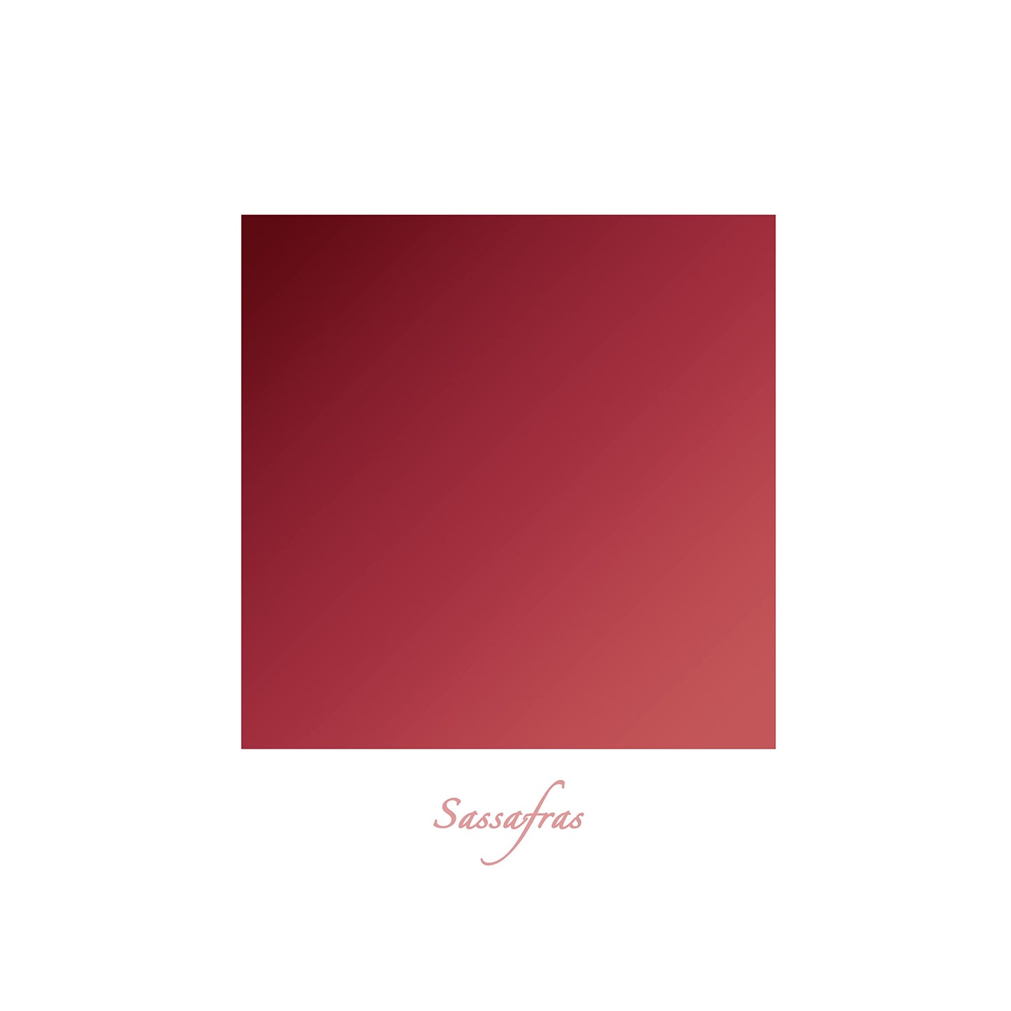 Grunge Factory® Moisture Matte Lipstick in Sassafras Beauty & Personal Care Grunge Factory