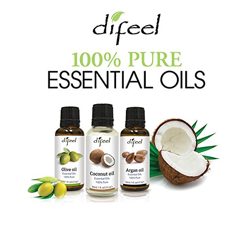 Difeel Essential Oils Argan Oil 1 ounce Beauty & Personal Care Difeel
