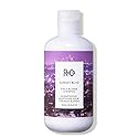 R+Co Sunset Blvd Daily Blonde Shampoo | Daily Brightening + Combats Brassiness + Hydrating | Vegan + Cruelty-Free | 8.5 Fl Oz Beauty & Personal Care R+Co