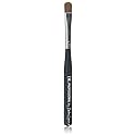 DL Professional French Manicure Clean-Up Brush, 4 Ounce Beauty & Personal Care DL Professional