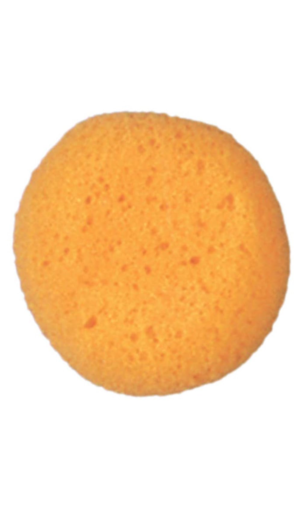 Cosmetic Sponge