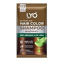 LYO Gray hair dye shampoo 03 (Golden Brown) 30 ML.2 Packs. Beauty & Personal Care LYO