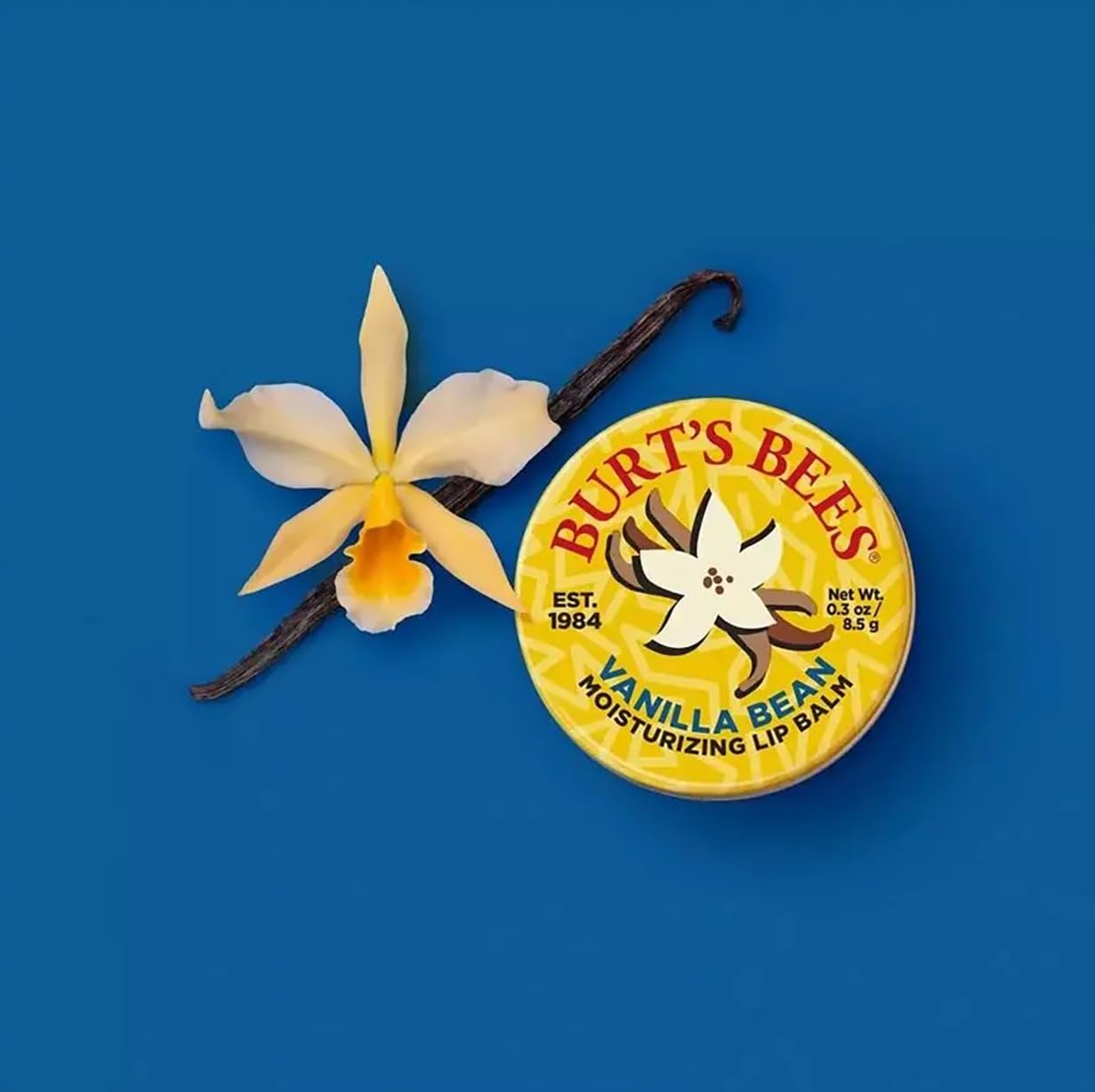 Burt's Bees Vanilla Bean Lip Balm Tin 0.3 oz Beauty and Personal Care Burt's Bees