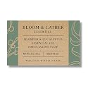 Walton Wood Farm Bloom & Lather Soap Seaweed and Eucalyptus Beauty & Personal Care Walton Wood Farm