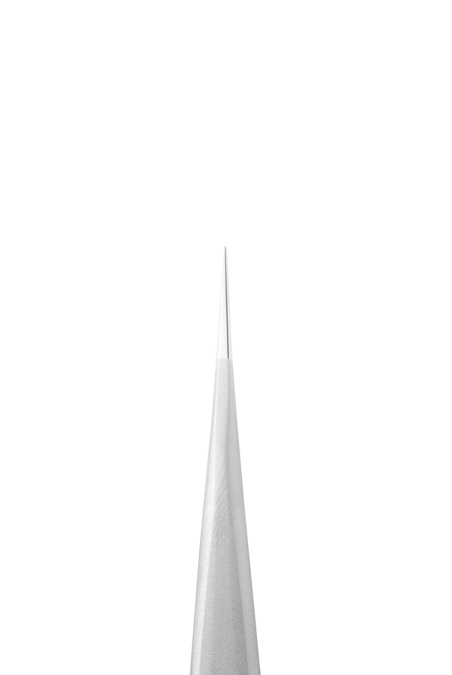 STALEKS PRO Eyelashe Tweezer EXPERT (TE-41/10) Beauty and Personal Care STALEKS PRO
