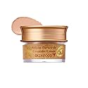 SKINFOOD s Salmon Dark Circle Concealer Cream - Under Eye Concealer for Dark Spots and Wrinkles - Full Coverage - Stocking Stuffer - 0.35 Oz/10 g Beauty & Personal Care SKINFOOD 1957