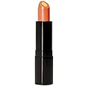 Vitamin C Lip Treatment SPF 15 Beauty & Personal Care Divine