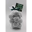 Spa Pure Eucalyptus & Spearmint: Bath Bomb Fizzies, USA Made with Shea Butter, Ultra Moisturizing - Great for Dry Skin (14 Count) Pack of 1 Beauty & Personal Care Spa Girl