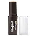BURTS BEES Opal Mist All Aglow Highlighter Stick, 0.32 OZ Beauty & Personal Care Burt's Bees