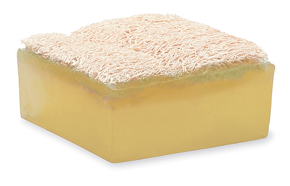 Primal Elements Lemongrass Loofah Bar Soap, 5 Ounce Beauty & Personal Care Primal Elements