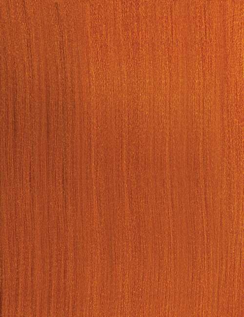 Outre X-Pression Twisted Up - Type 4 Soft & Natural Frappe 18" 3X (AMBER)