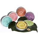 Honey House Large Bee Bar Natural Solid Lotion Bar 2 Oz in Embossed Tin Case, Assortment of 5 Scented Bars Beauty & Personal Care Honey House Naturals