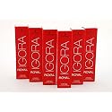 Schwarzkopf Igora Royal 5-65 Light Brown Chocolate Gold, 2.1 oz Beauty & Personal Care Igora