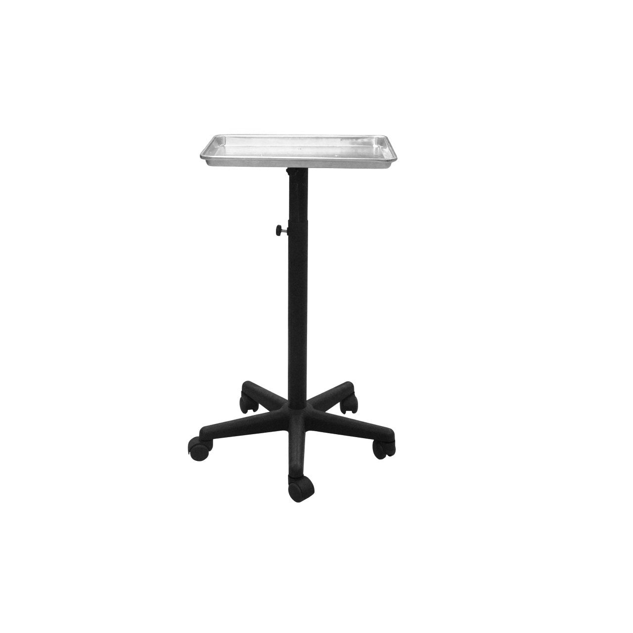 Chromatique Professional Silver Service Tray for Salon Chemical Hair Coloring (Model:T011) Beauty & Personal Care Chromatique Professional